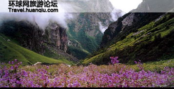 描寫人跡罕至的古詩(shī)句