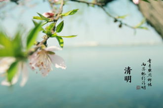 描寫愛情的詩句古詩詞,描寫秋雨的詩句古詩詞,描寫深秋的詩句古詩詞