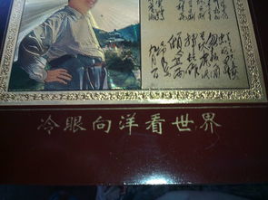 關(guān)于冷眼看世界的詩(shī)句