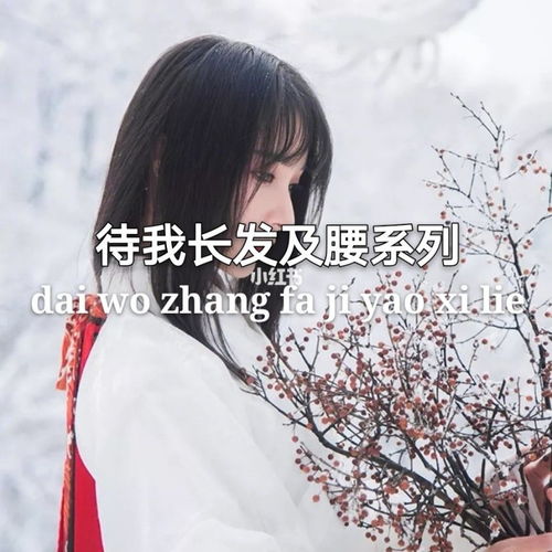 有關(guān)于長(zhǎng)發(fā)的詩(shī)句