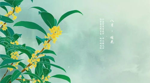 有關(guān)秋日桂花的詩(shī)句古詩(shī)