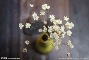 寫彼岸花花的詩(shī)句古詩(shī)