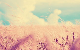 關(guān)于青春的唯美詩句英語