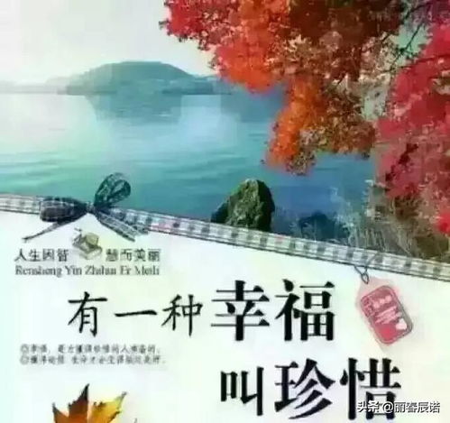 關(guān)于珍惜當下生活的詩句