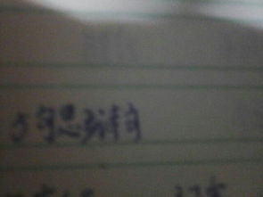 關(guān)于5句思鄉(xiāng)的詩句