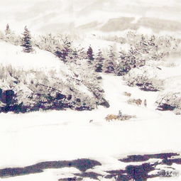 有關(guān)冷靜的古詩句