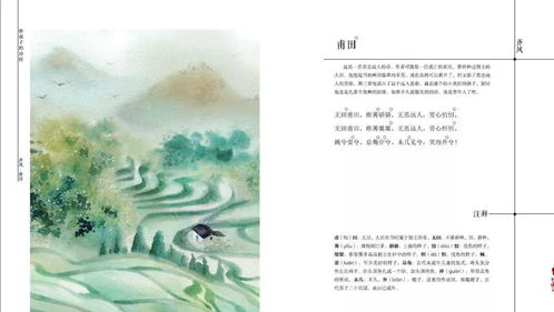 詩(shī)經(jīng)關(guān)于孩童的詩(shī)句