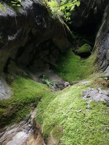 關于魚谷洞的詩句