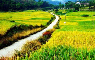 關(guān)于贊揚(yáng)家鄉(xiāng)詩(shī)句