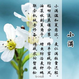 形容心情憂愁的詩(shī)句的古詩(shī)