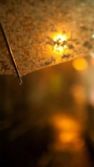 關(guān)于時(shí)光記憶的詩句