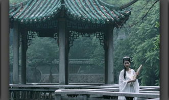 關(guān)于師道詩句