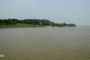 孟浩然寫的關(guān)于洞庭湖君山的詩(shī)句