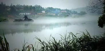 有關(guān)小道的詩句古詩