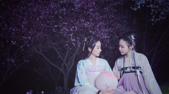 關(guān)于姊妹親情的詩(shī)句