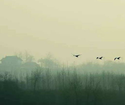 關(guān)于離不開的詩(shī)句