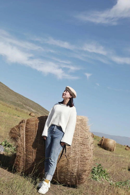 關(guān)于昭蘇物的詩句