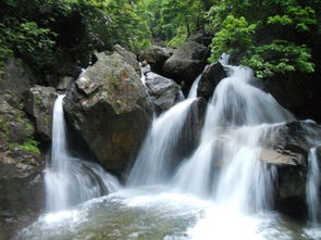 關(guān)于莽山的詩句