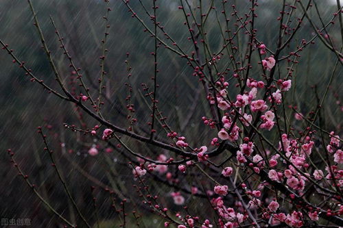 描寫春天小草的詩句古詩,關(guān)于描寫春雨的詩句古詩,描寫春雨春雷的詩句古詩