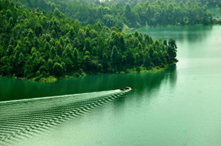 關(guān)于河源萬綠湖的詩句