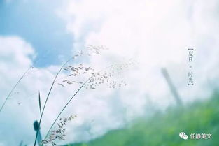 感慨歲月的古詩句