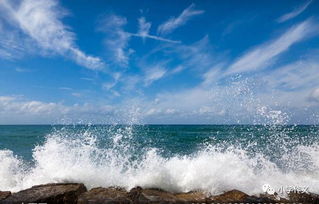 哪些關(guān)于大海的詩(shī)句