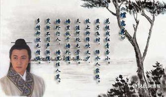 關于放棄排比詩句