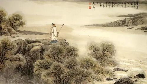 古詩詞,中有,詩句