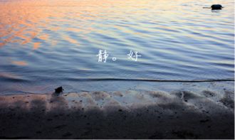 表現(xiàn)歲月靜好的古詩(shī)句