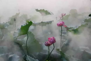 關(guān)于夢醉荷塘的詩句