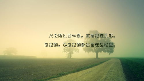 關(guān)于人累心更累的詩句