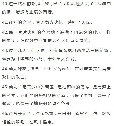 擬人,詩句,修辭手法