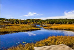 圍場(chǎng),木蘭,詩(shī)句,描寫(xiě)