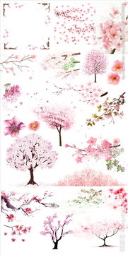 關(guān)于桃花櫻花未開的詩句