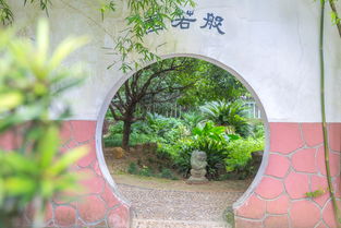 詩句,美景,岳麓山