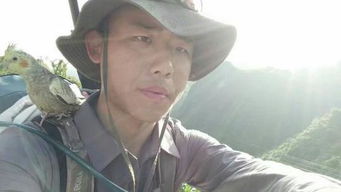 關(guān)于執(zhí)著無畏的詩句