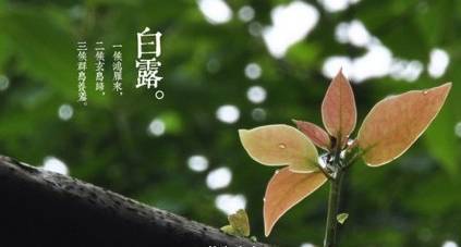 有關(guān)白露節(jié)氣唯美詩句,與白露節(jié)氣有關(guān)的詩句,描寫節(jié)氣白露的詩句