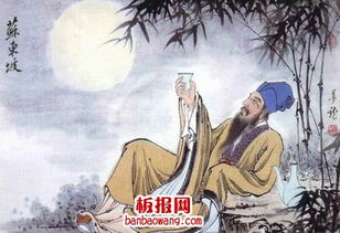 文人寫關(guān)于柿子的詩句