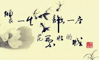 詩(shī)句,唯美,浪漫,大全