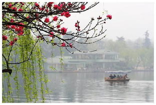 關(guān)于洛陽(yáng)的春天的詩(shī)句