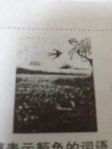 暮江吟的詩(shī)句意思是什么意思,飲湖上初晴后雨的詩(shī)句的意思是什么意思,望洞庭的詩(shī)句的意思是什么意思