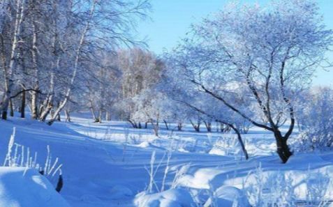 試著寫兩句關(guān)于雪的詩句