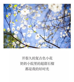 搜集關(guān)于生活的詩(shī)句