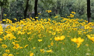 關于奉獻精神的古詩句,贊美奉獻精神的句子古詩,老師奉獻精神的古詩句