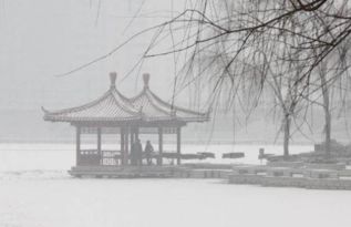 雪西湖的詩句古詩