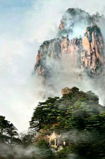 關(guān)于蘭心的詩句