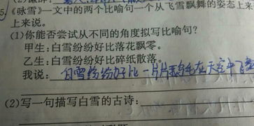 描寫雪的優(yōu)美古詩句,描寫雪大的古詩句,二年級描寫雪的古詩句有哪些