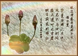 關(guān)于夏天秸稈的詩句