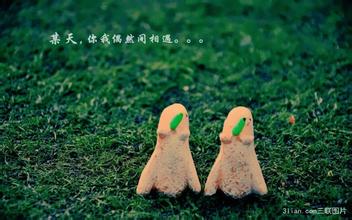 關(guān)于等待愛情的詩句