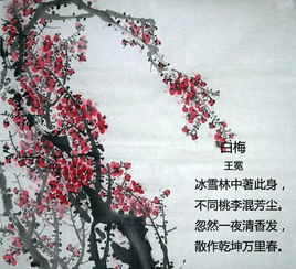 關(guān)于梅的詩句賞析
